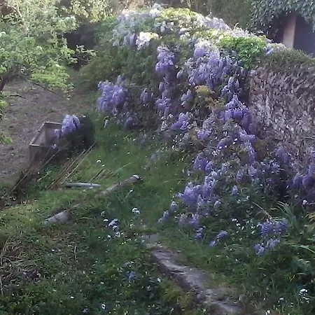 Costa Lupara - Murchio Bed and breakfast Alassio