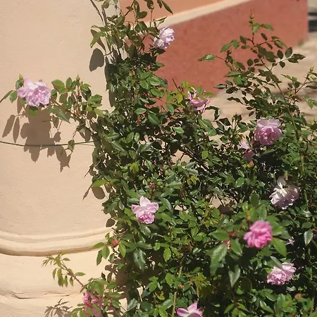 Costa Lupara - Murchio * アラッシオ