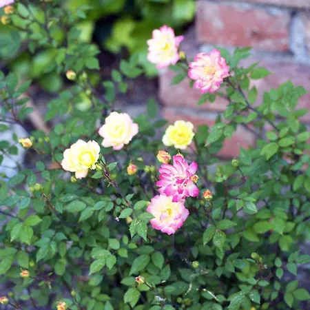 Costa Lupara - Murchio 住宿加早餐酒店